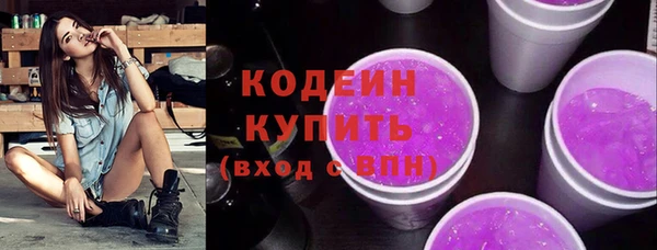 дживик Бронницы