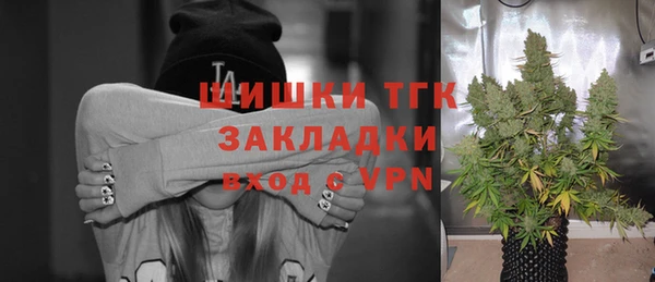 дживик Бронницы