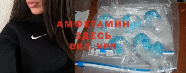 дживик Бронницы