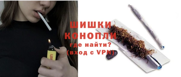 дживик Бронницы