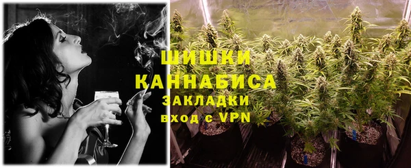 дживик Бронницы