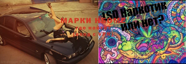 наркотики Бородино