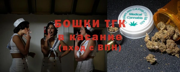 дживик Бронницы