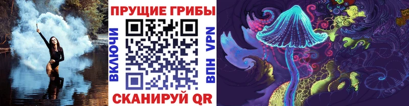 blacksprut tor мориарти наркотические препараты Галлюциногенные грибы Psilocybine cubensis Вологда